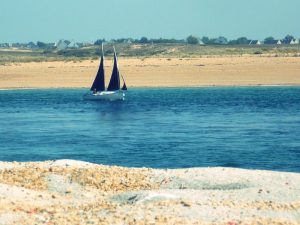 Ria d'Etel - Morbihan (56)