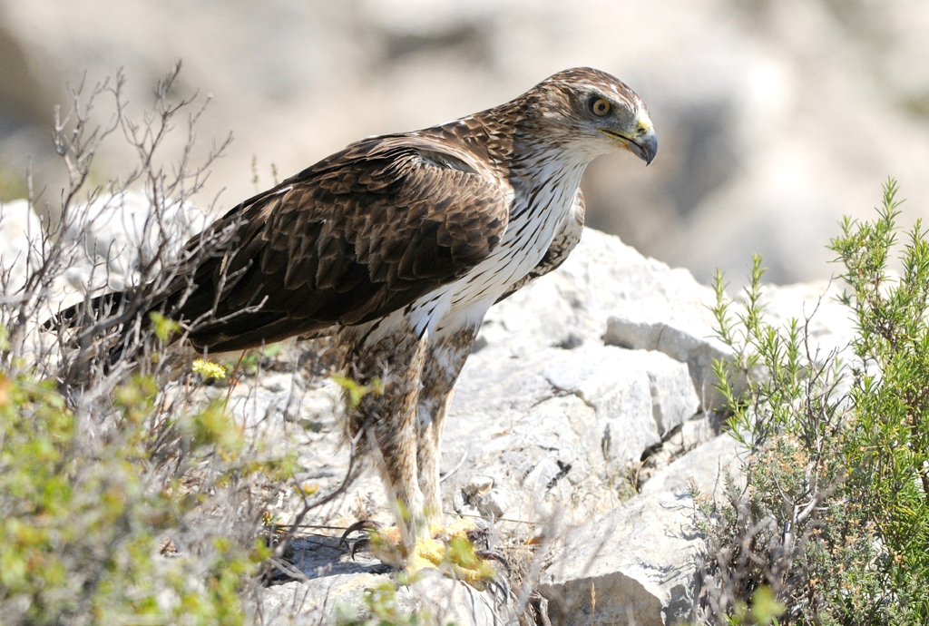 Balade nature : Réserve naturelle de Mannevilles