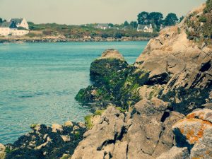 Ria d'Etel - Morbihan (56)