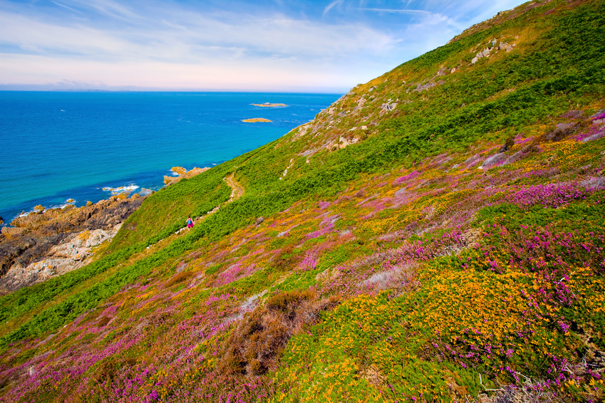 Cotentin, randonne sur le GR 223