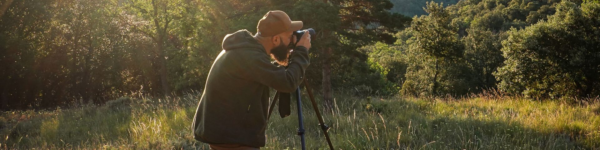Devenir photographe nature  5 conseils pour réussir  Beauté de Dame