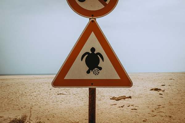 Panneaux annonçant lieu de ponte de tortue au Cap Vert