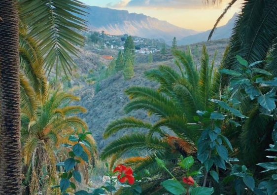 Paysage des iles canaries