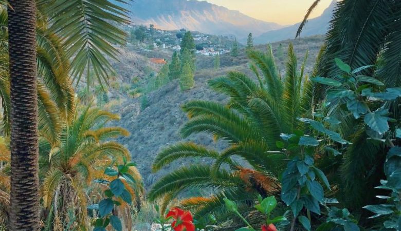 Paysage des iles canaries