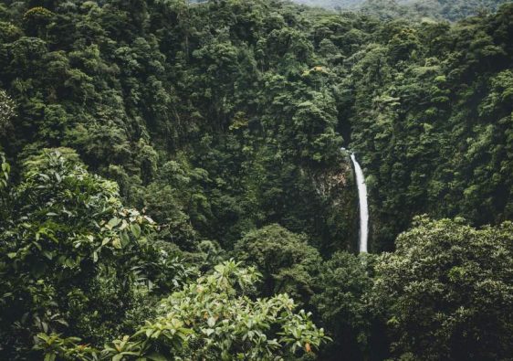 cascade caché dans la foret tropicale au Costa Rica