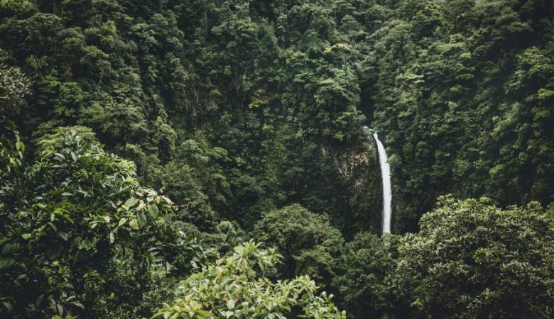 cascade caché dans la foret tropicale au Costa Rica