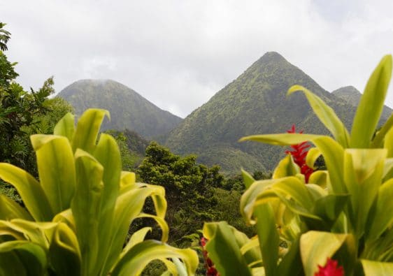 Scène tropicale des montagnes de la Martinique, la montagne Pelée en arrière-plan, Petites Antilles.