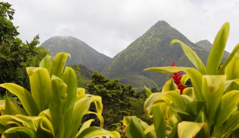 Scène tropicale des montagnes de la Martinique, la montagne Pelée en arrière-plan, Petites Antilles.