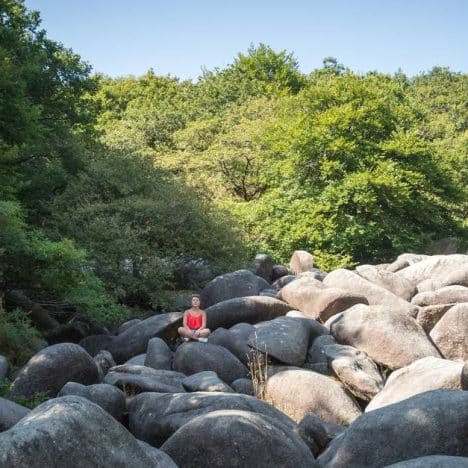 Cascades d’Ouzoud : les plus hautes cascades d’Afrique du Nord