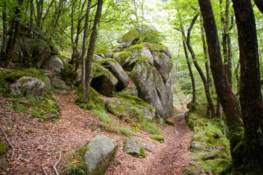 Gorges du Corong, rochers granitique 