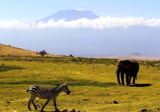 parc national du ngorongoro