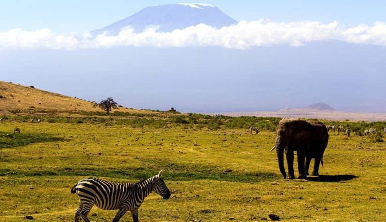 parc national du ngorongoro