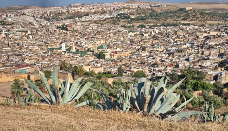 vue panoramique à Fès