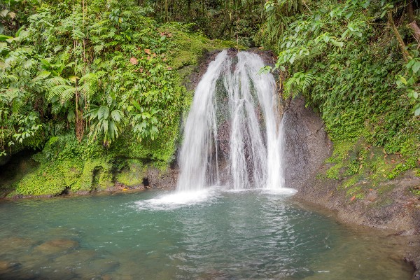 cascade guadeloupe