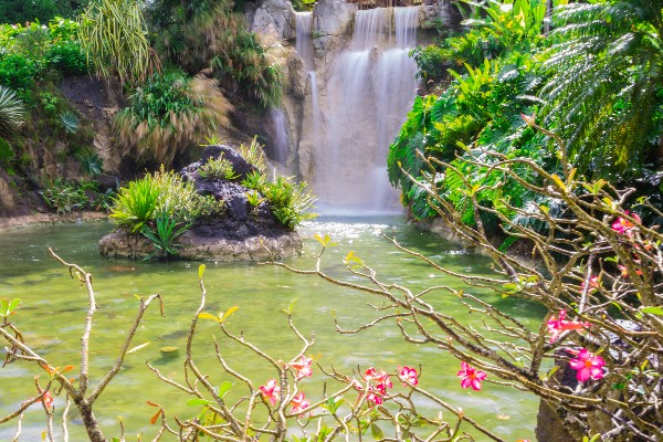 vue sur la cascade