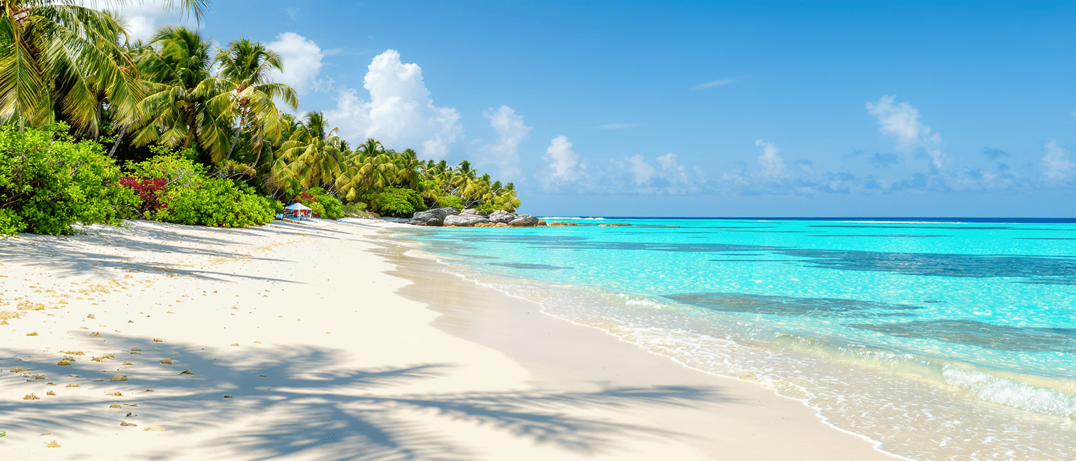 découvrez les plages incontournables de bali, entre sable fin et eaux turquoise. explorez notre sélection des meilleures plages pour profiter du soleil, des activités nautiques et des paysages paradisiaques. ne manquez pas ces trésors balinais qui feront de votre séjour un véritable rêve.