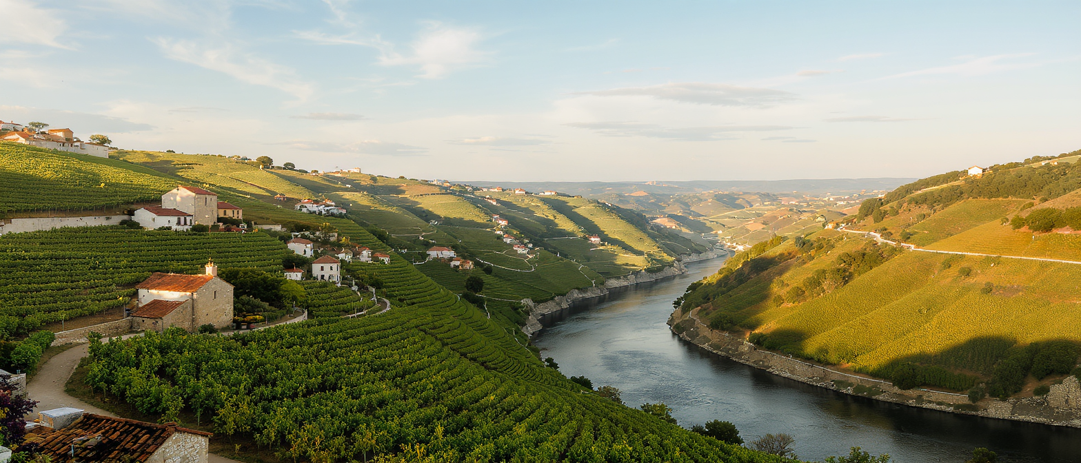 découvrez toutes nos recommandations pour une croisière inoubliable sur le douro : conseils pratiques, itinéraires, activités et astuces pour profiter pleinement de votre voyage au cœur du portugal.