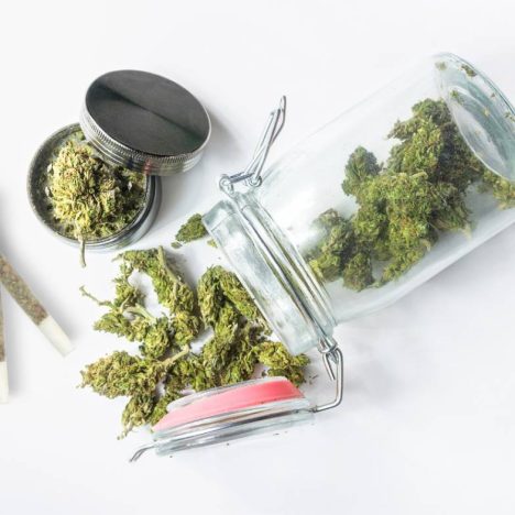 Taux de THC autorisé, comment s&rsquo;assurer de la conformité d&rsquo;un produit ?