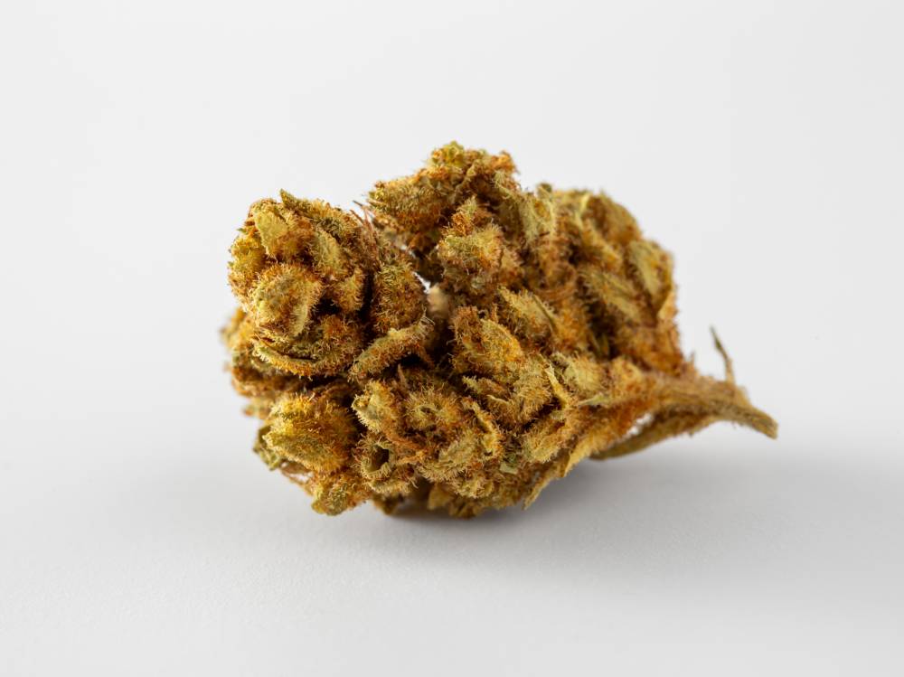 Taux THC légale